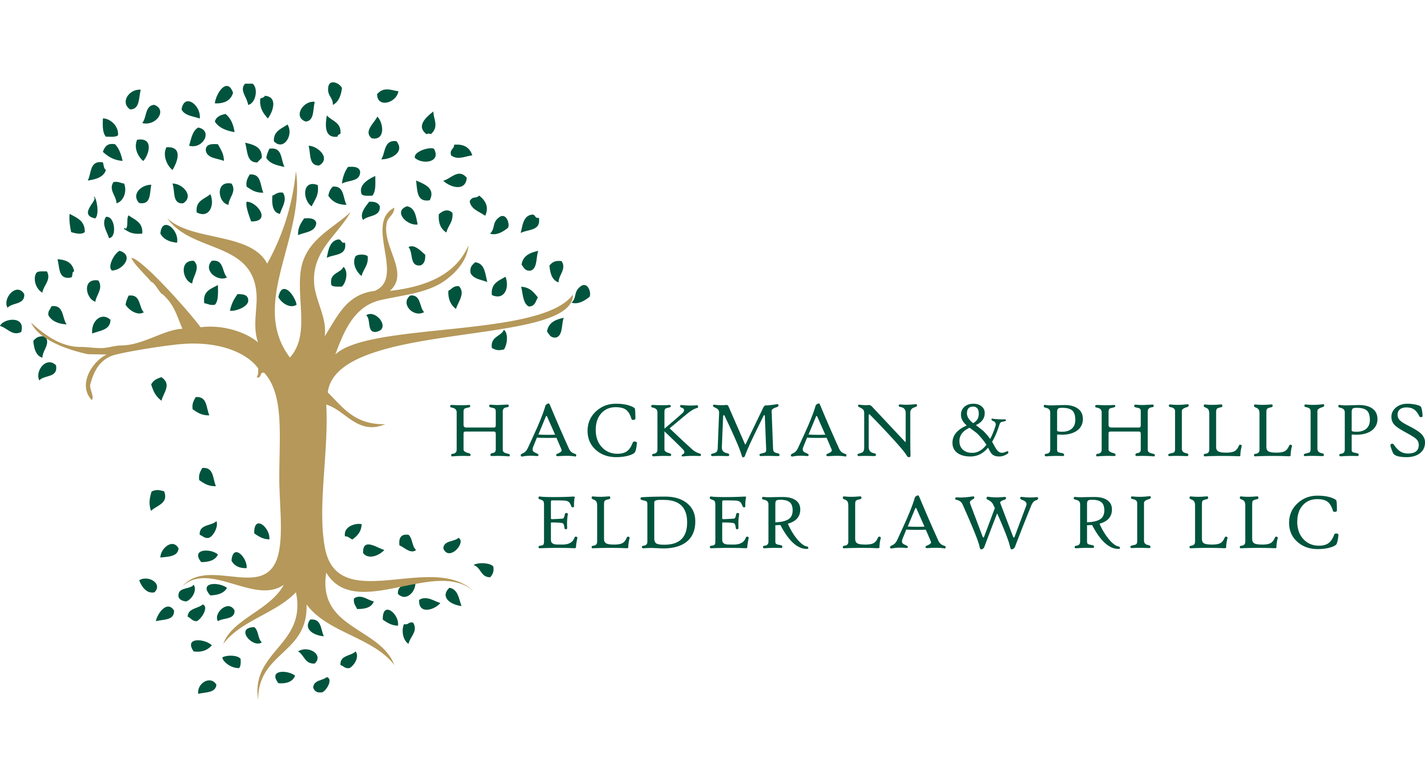 Elder Law and Special Needs Law Firm